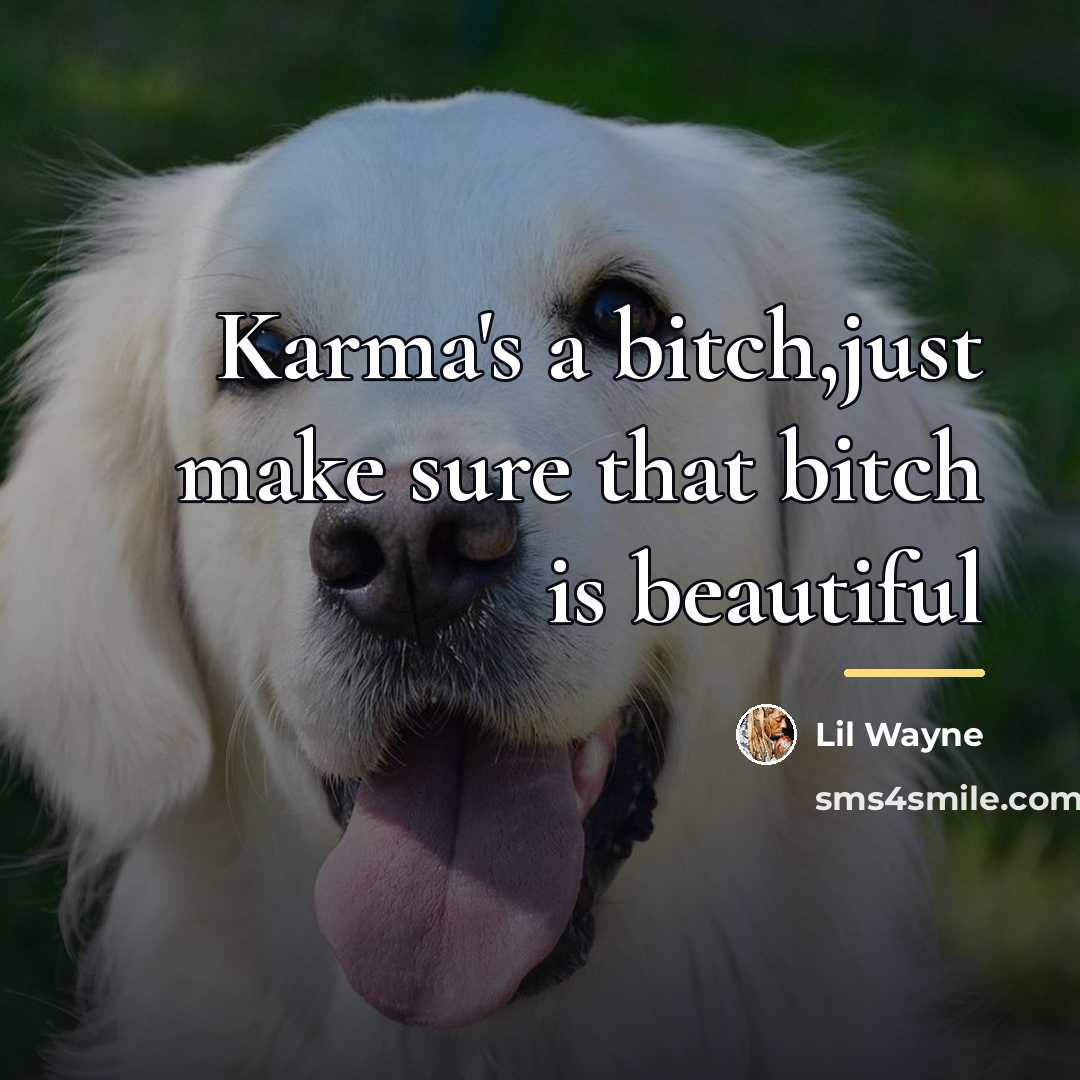 “Karma's a bitch,just make sure that bitch is beautiful…” quote by Lil Wayne