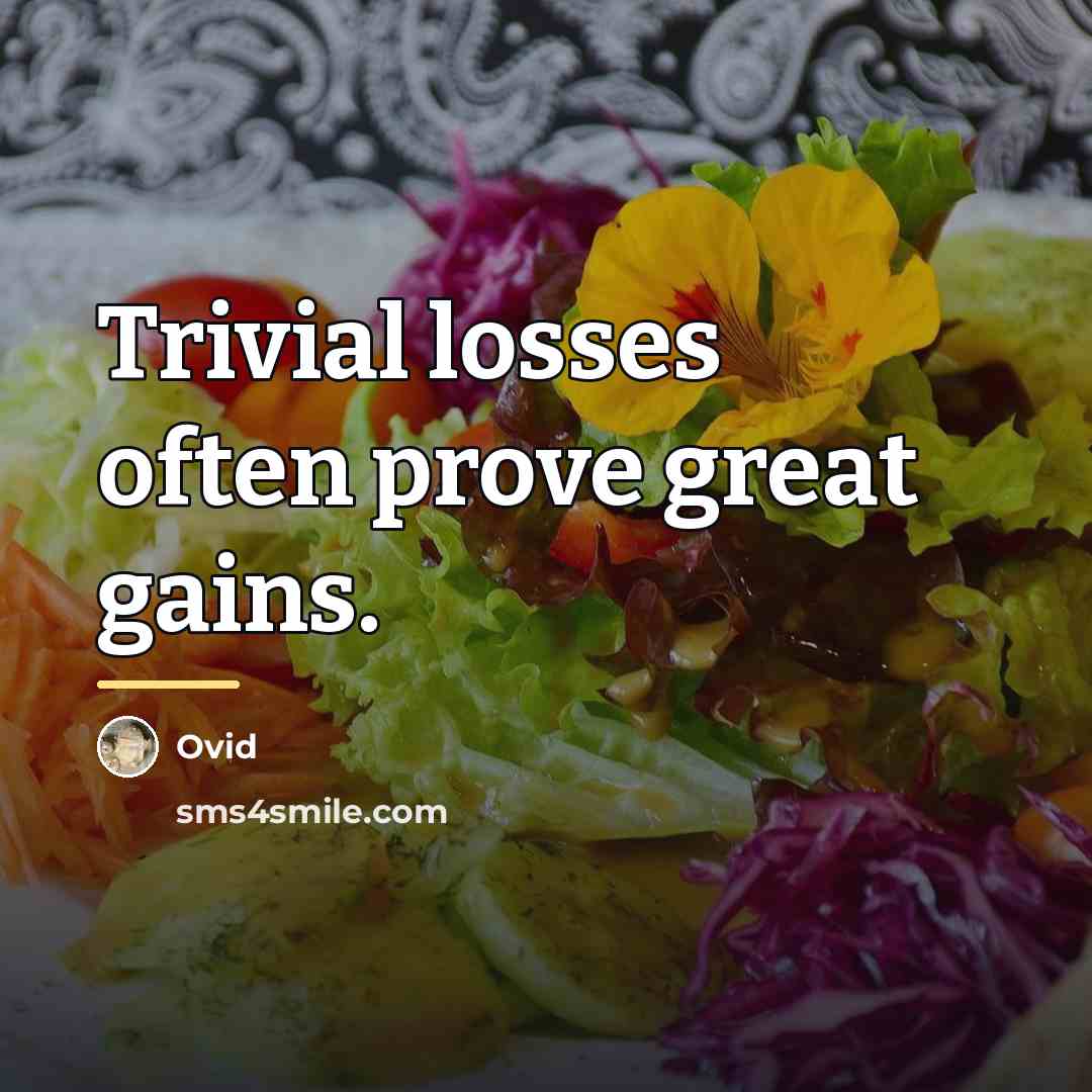 “Trivial losses often prove great gains.…” quote by Ovid