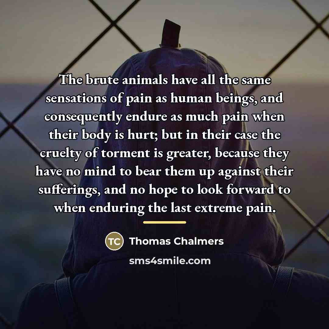“The brute animals have all the same sensations of pain…” quote by Thomas Chalmers