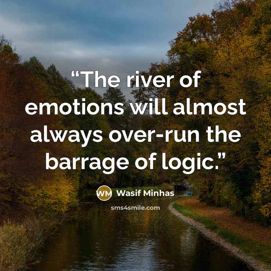 “The river of emotions will almost always over-run the barrage of logic.” quote by Wasif Minhas