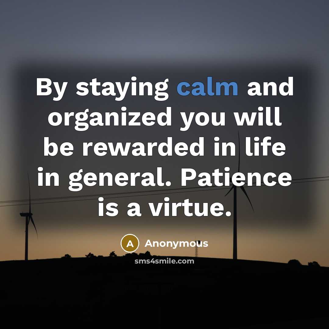 “By staying calm and organized you will be rewarded in…” quote by Anonymous