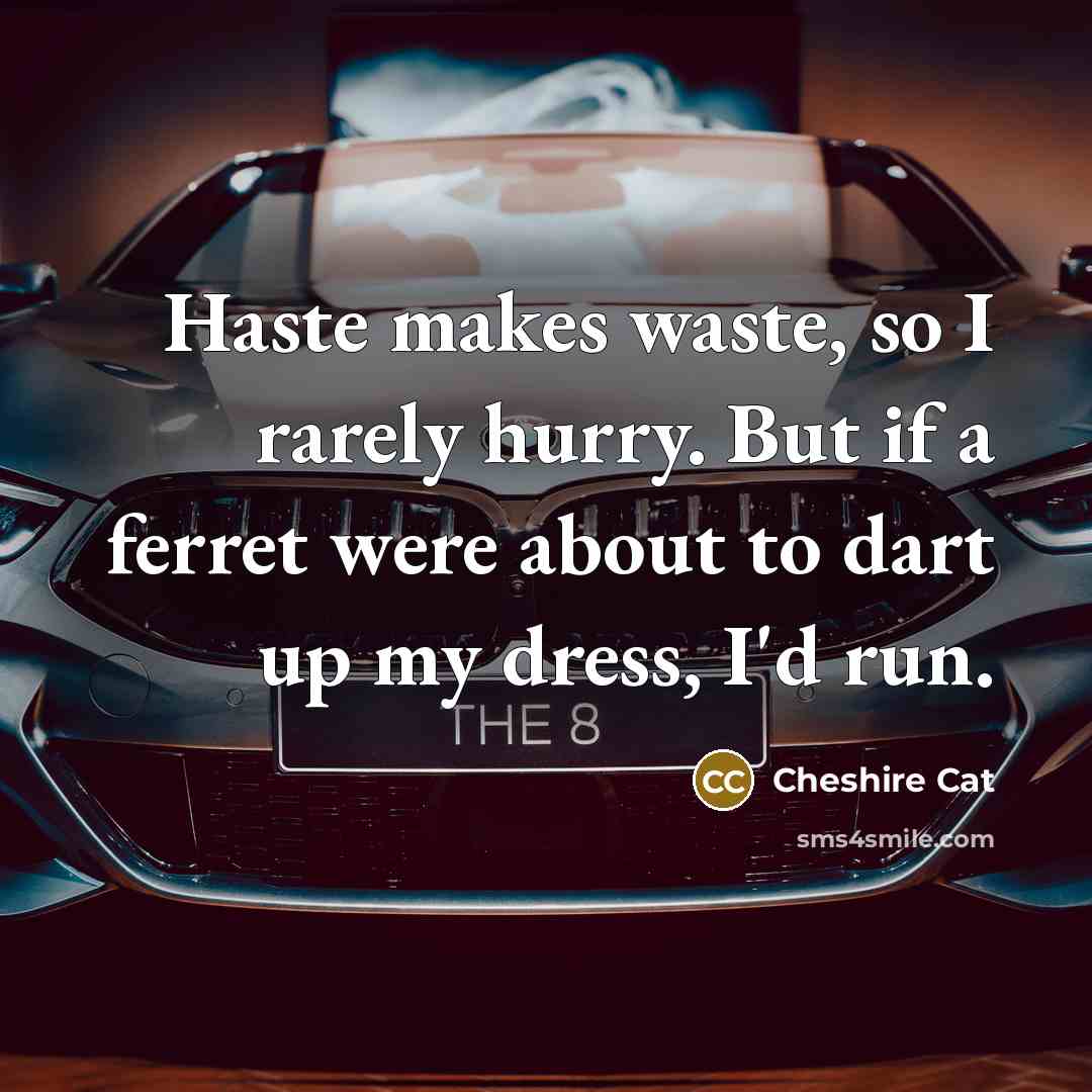 “Haste makes waste, so I rarely hurry. But if a…” quote by Cheshire Cat