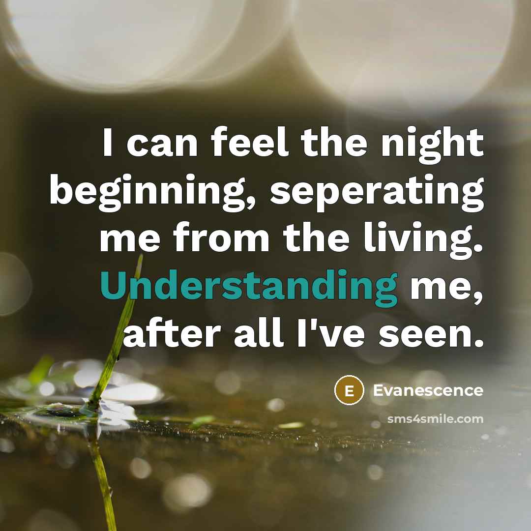 “I can feel the night beginning, seperating me from the…” quote by Evanescence