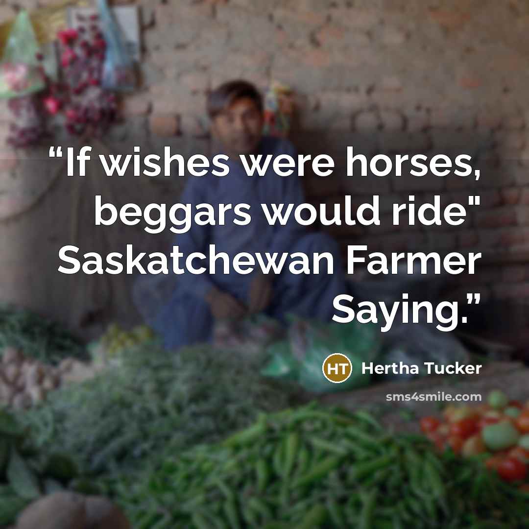 “If wishes were horses, beggars would ride" Saskatchewan Farmer Saying.” quote by Hertha Tucker