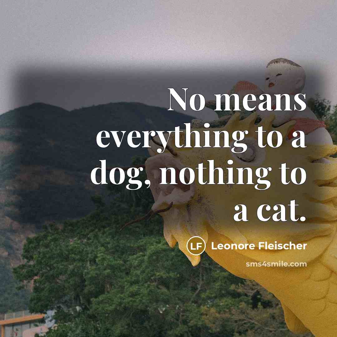 “No means everything to a dog, nothing to a cat.…” quote by Leonore Fleischer