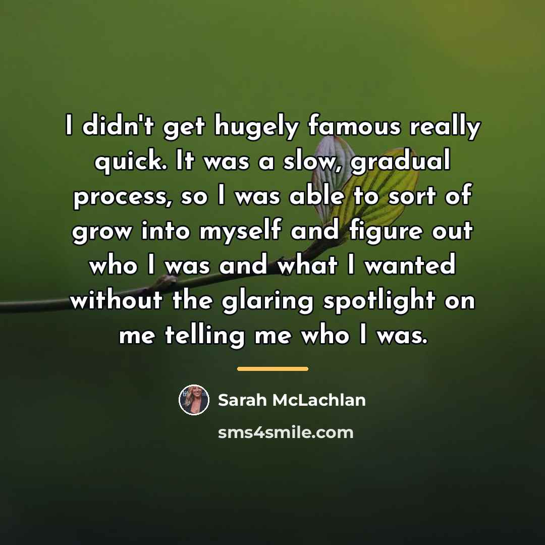 “I didn't get hugely famous really quick. It was a…” quote by Sarah McLachlan