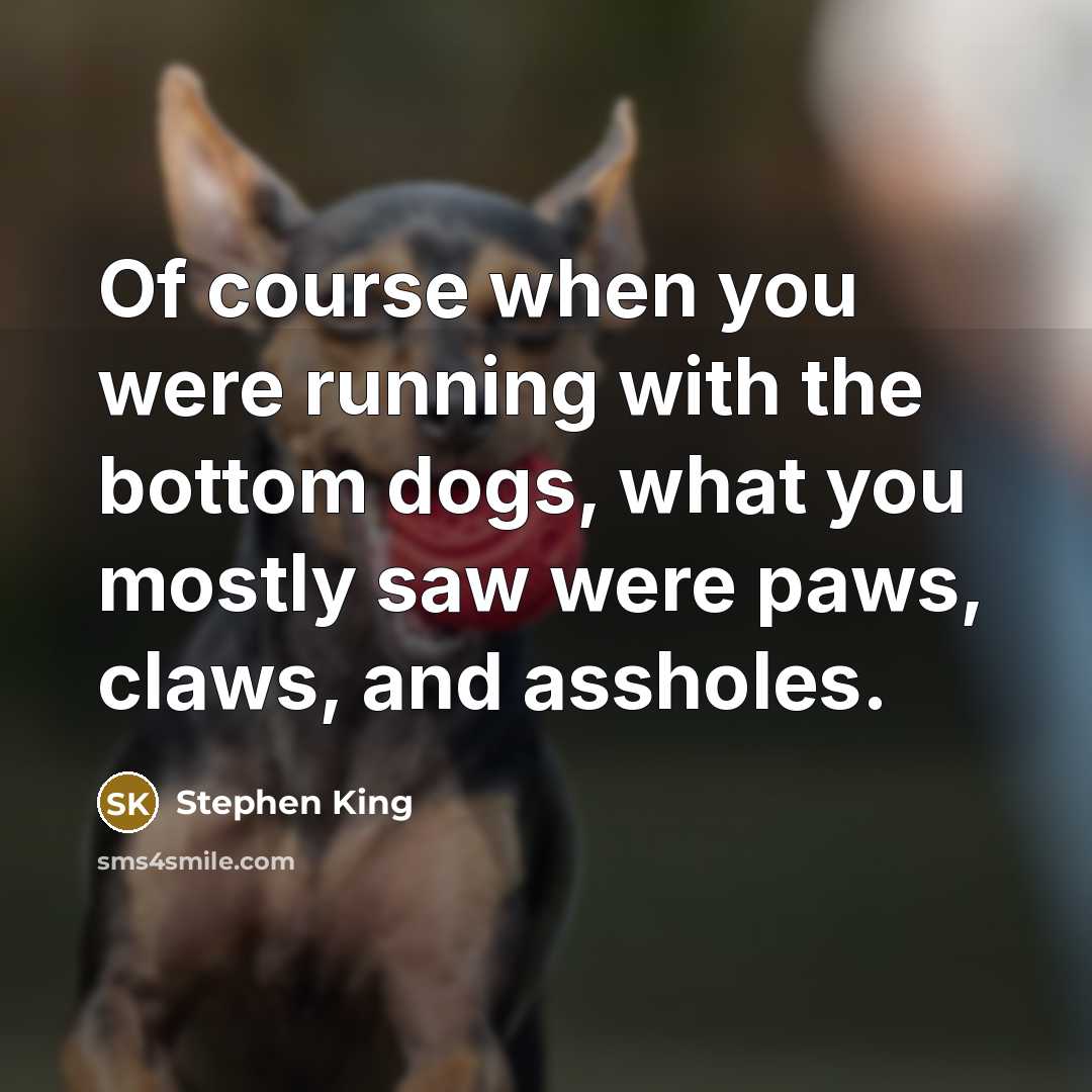“Of course when you were running with the bottom dogs, what you mostly saw were paws, claws, and assholes.” quote by Stephen King