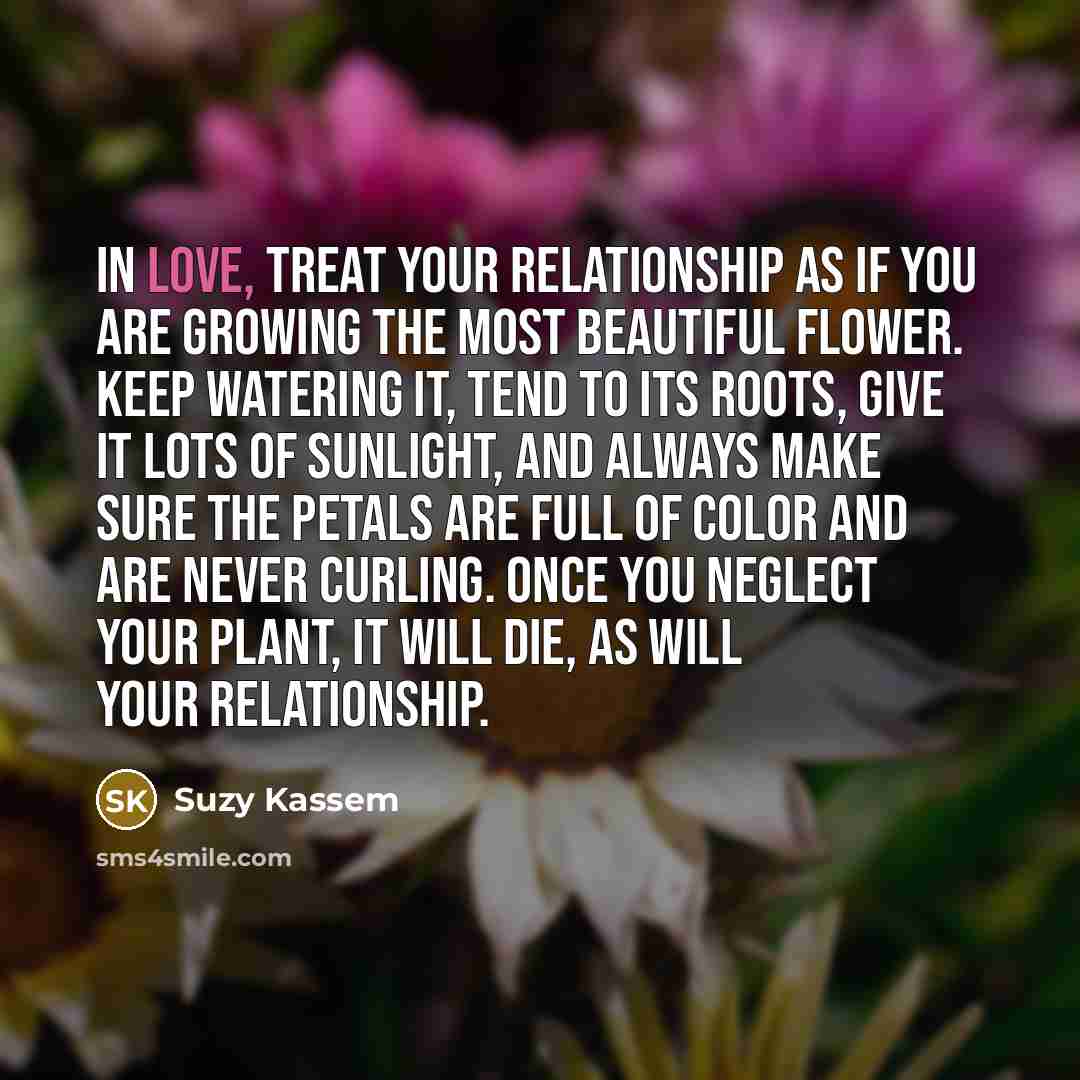 “In love, treat your relationship as if you are growing…” quote by Suzy Kassem