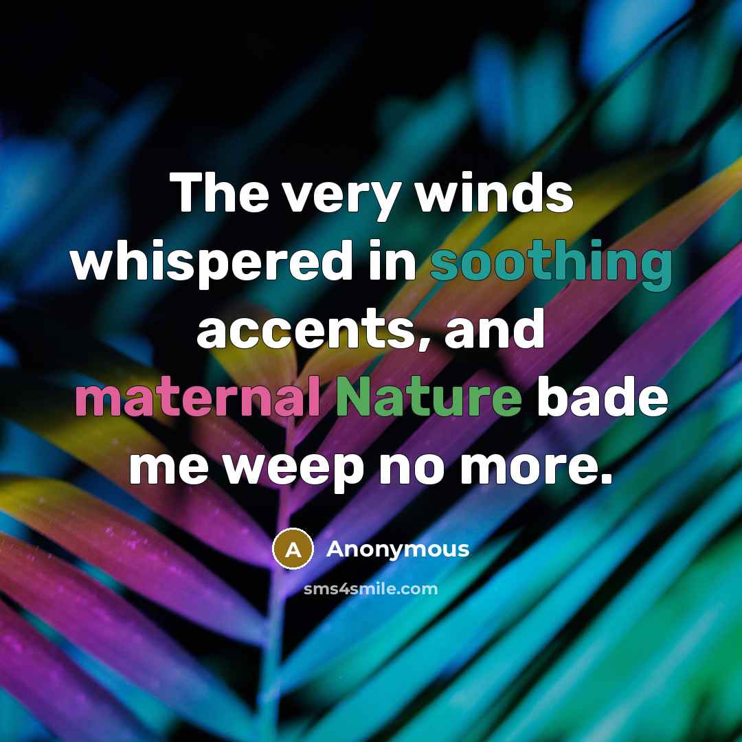 “The very winds whispered in soothing accents, and maternal Nature…” quote by Anonymous