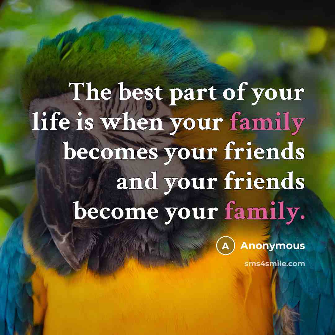 “The best part of your life is when your family…” quote by Anonymous