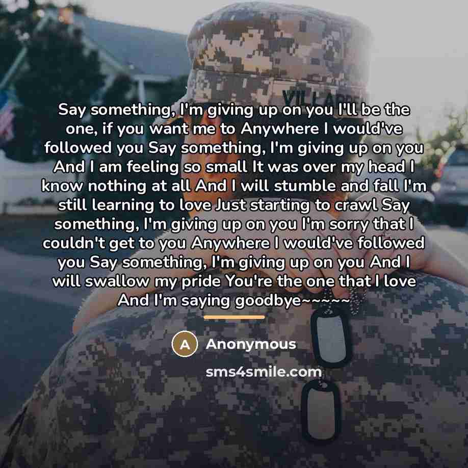 “Say something, I'm giving up on you I'll be the…” quote by Anonymous