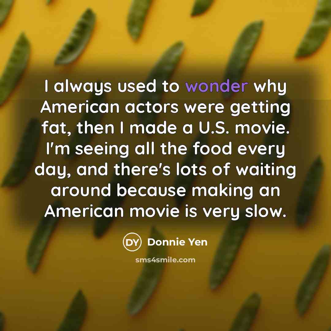 “I always used to wonder why American actors were getting…” quote by Donnie Yen