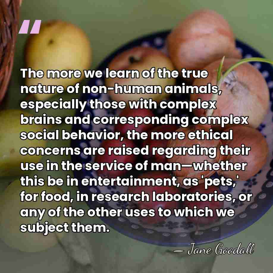 The more we learn of the true nature of non-human animals, especially&hellip; - Jane Goodall
