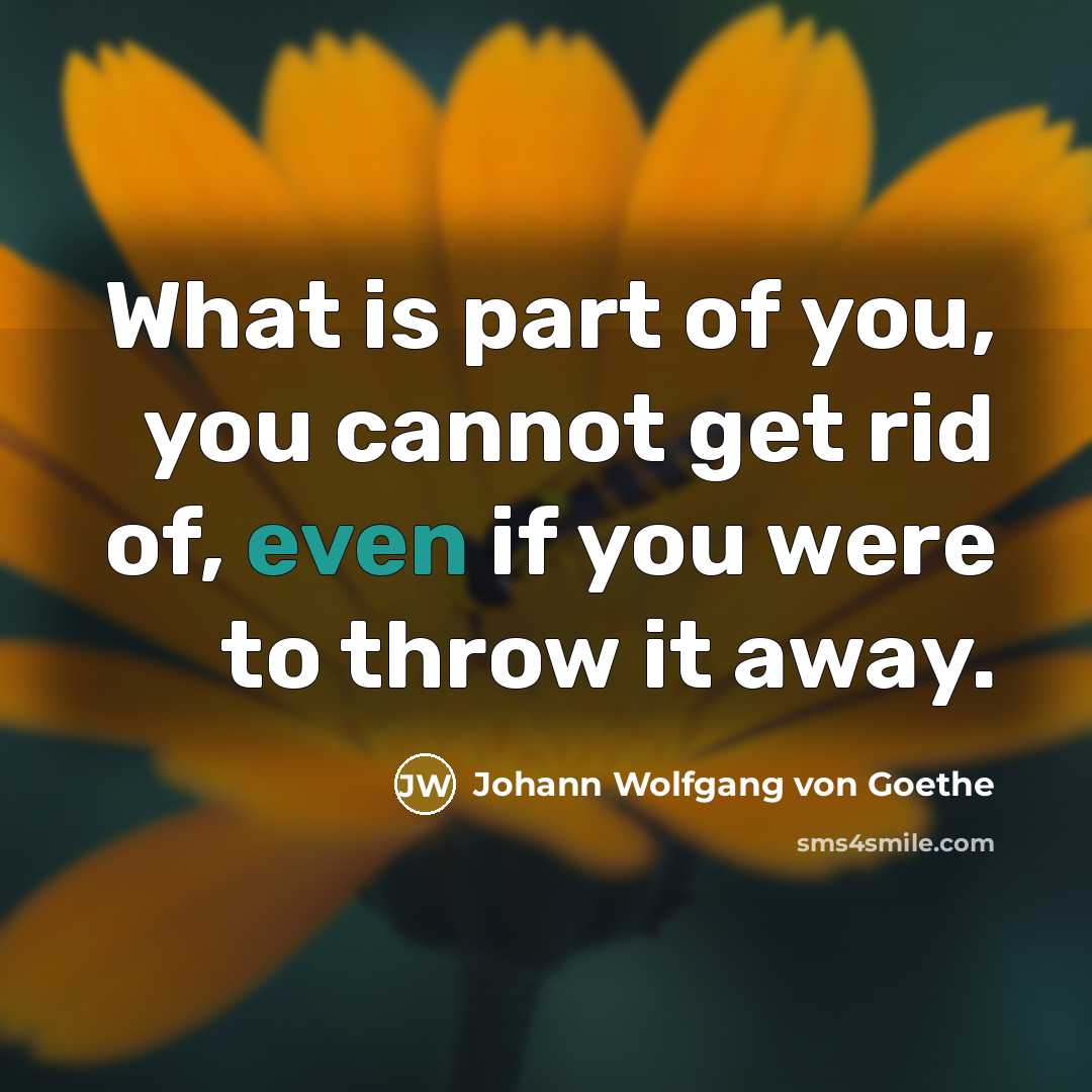 “What is part of you, you cannot get rid of, even if you were to throw it away.” quote by Johann Wolfgang von Goethe