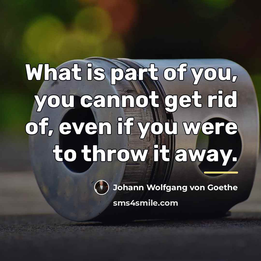 “What is part of you, you cannot get rid of,…” quote by Johann Wolfgang von Goethe