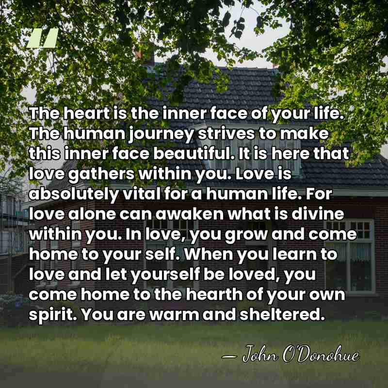 The heart is the inner face of your life. The human journey&hellip; - John O'Donohue