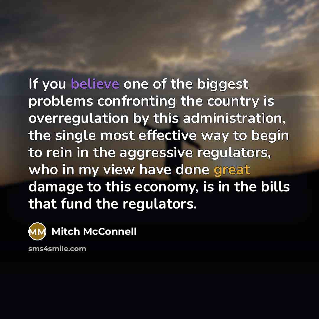 “If you believe one of the biggest problems confronting the…” quote by Mitch McConnell