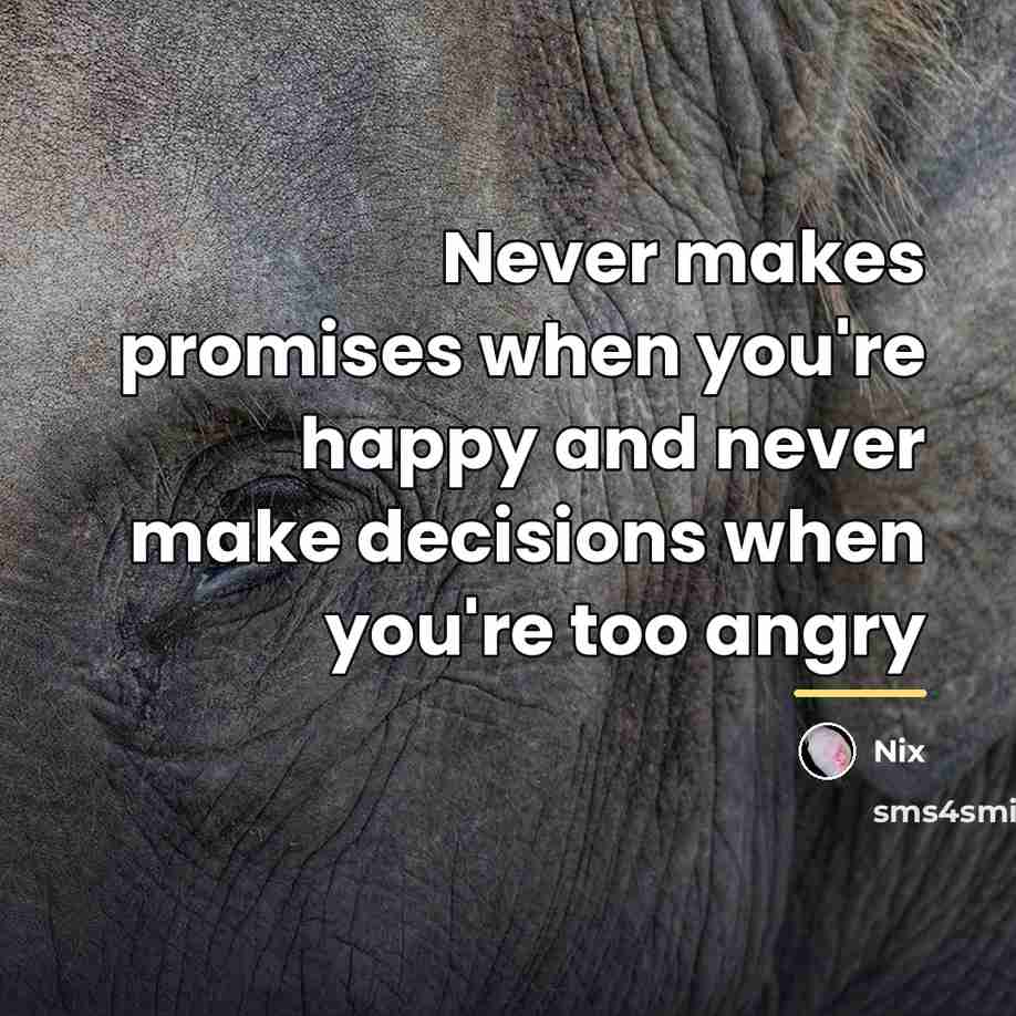 “Never makes promises when you're happy and never make decisions…” quote by Nix