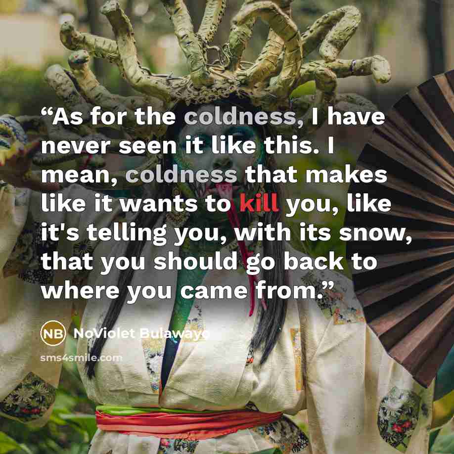 “As for the coldness, I have never seen it like this. I mean, coldness that makes like it wants to kill you, like it's telling you, with its snow, that you should go back to where you came from.” quote by NoViolet Bulawayo