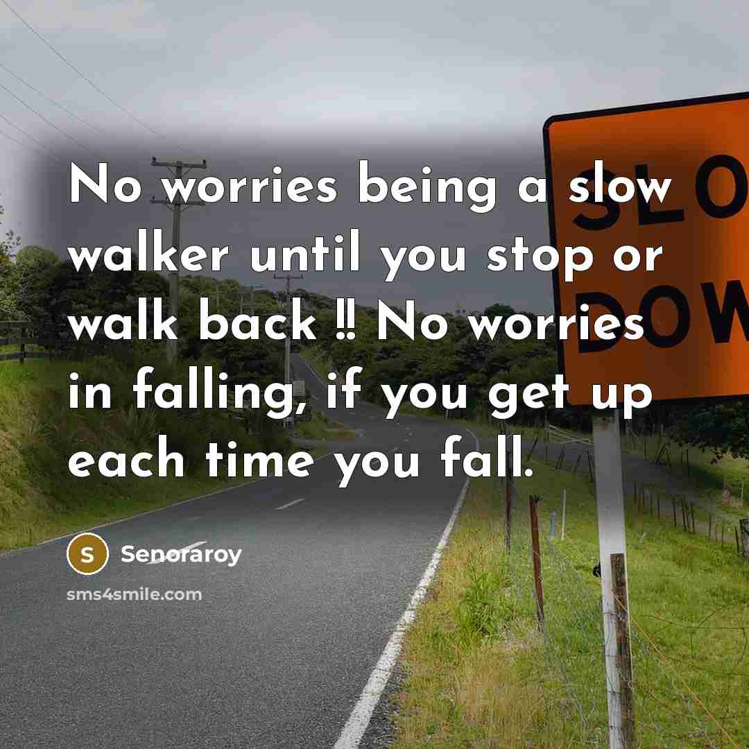 “No worries being a slow walker until you stop or walk back !! No worries in falling, if you get up each time you fall.” quote by Senoraroy
