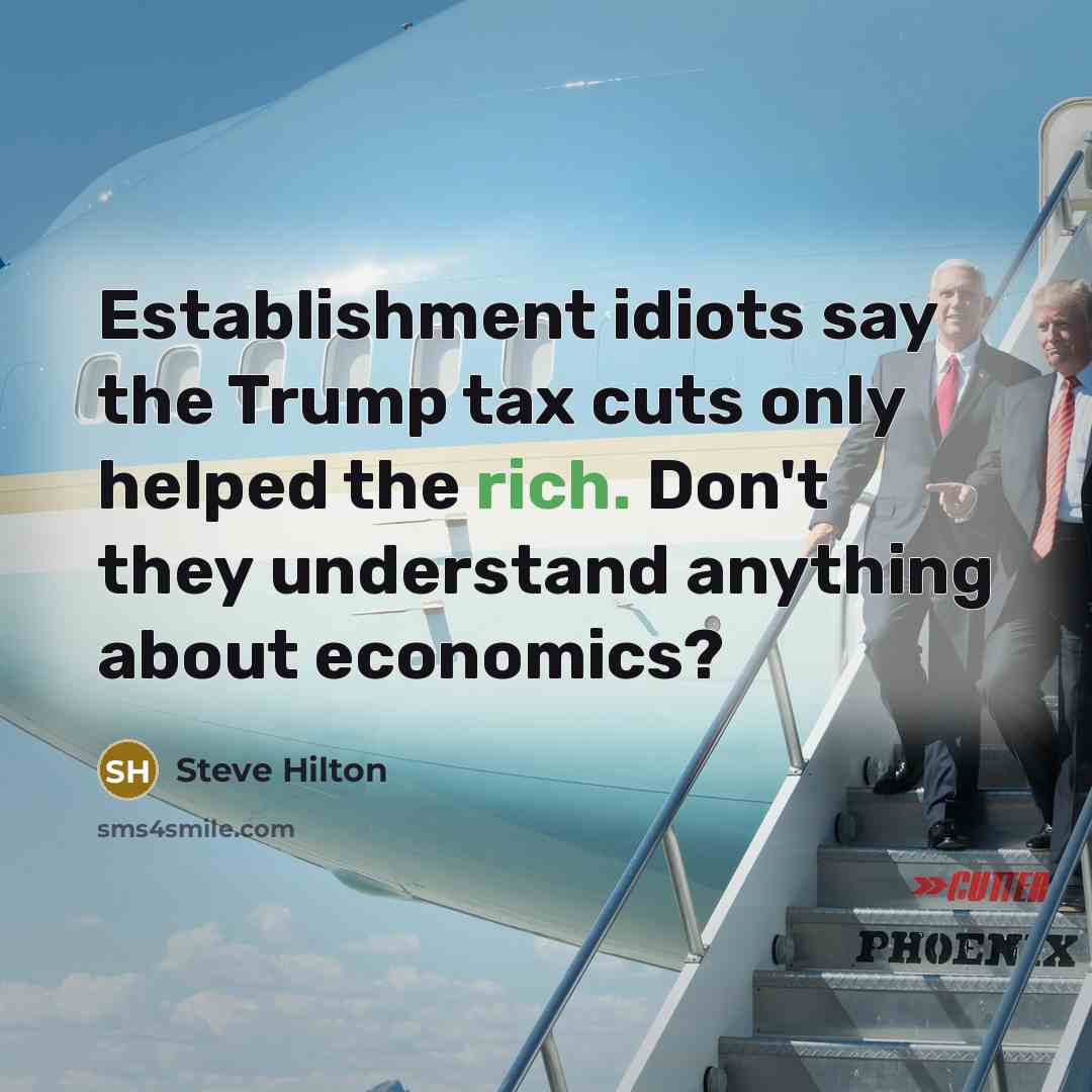 “Establishment idiots say the Trump tax cuts only helped the…” quote by Steve Hilton