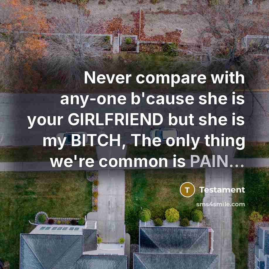“Never compare with any-one b'cause she is your GIRLFRIEND but she is my BITCH, The only thing we're common is PAIN...” quote by Testament