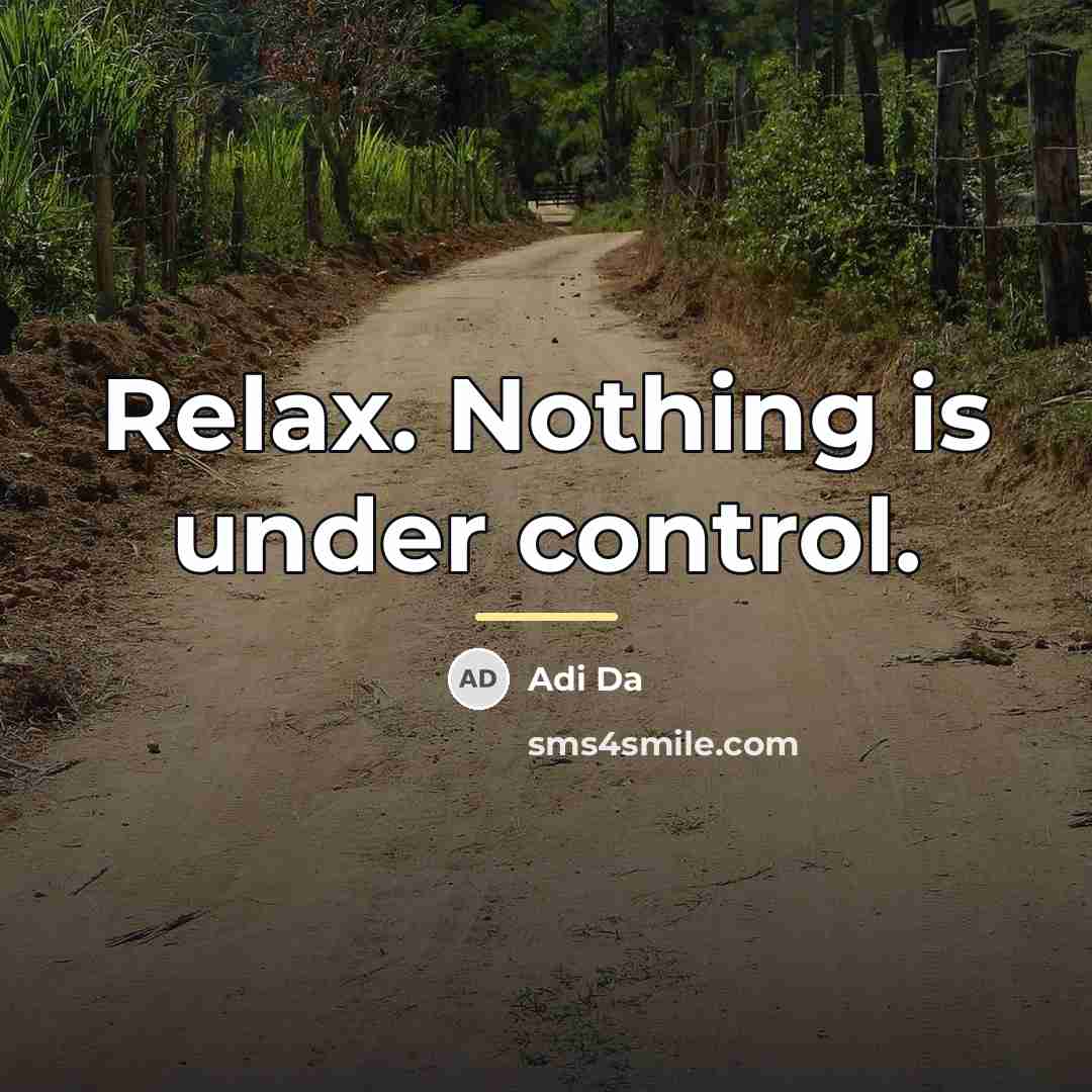“Relax. Nothing is under control.…” quote by Adi Da