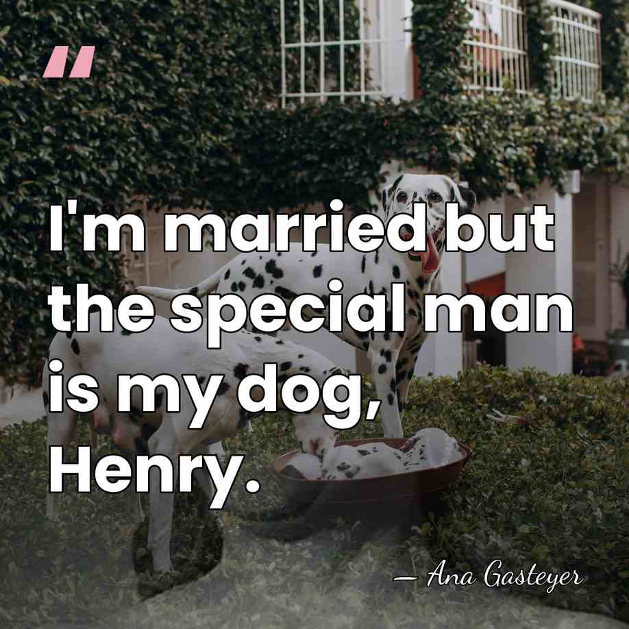 I'm married but the special man is my dog, Henry. - Ana Gasteyer