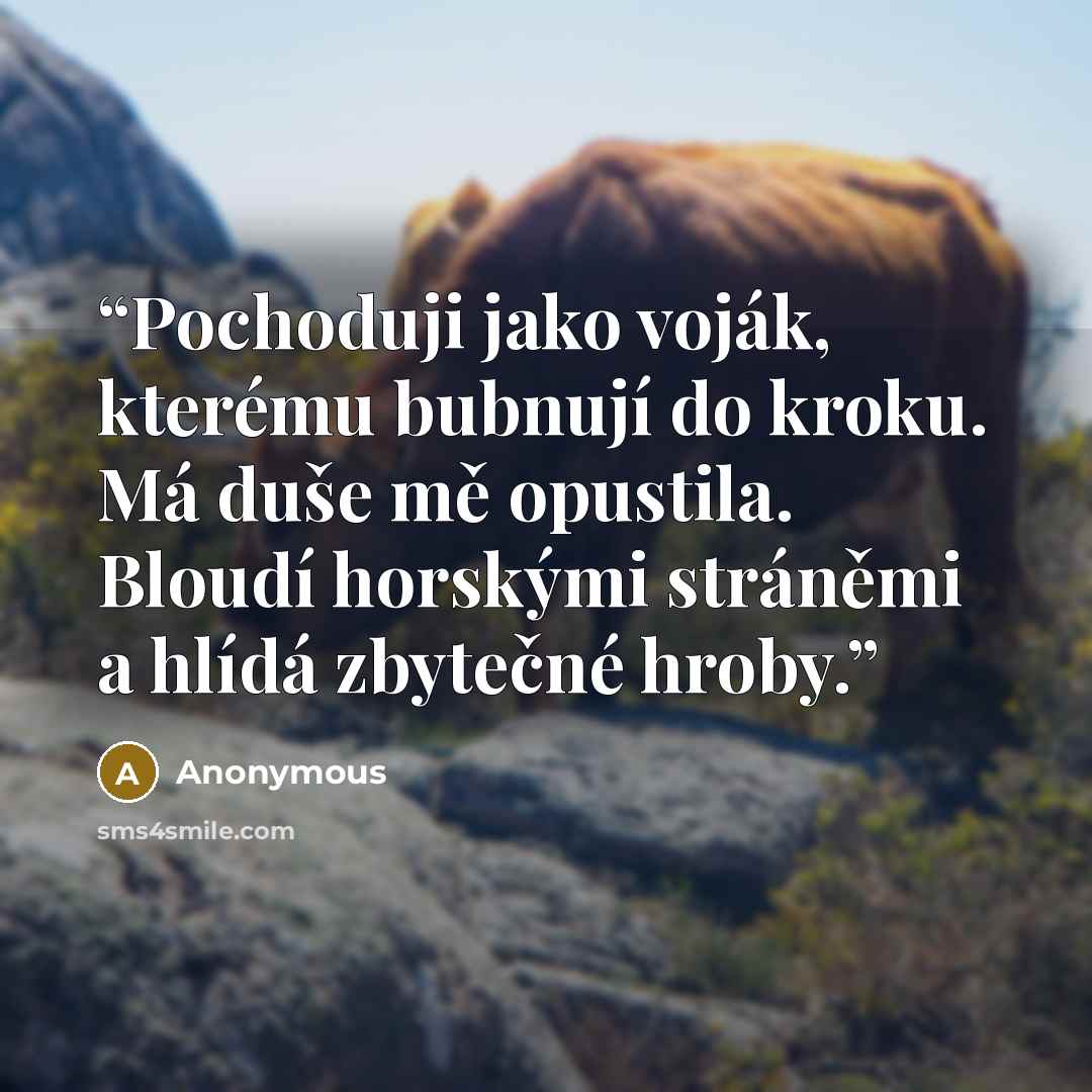 “Pochoduji jako voják, kterému bubnují do kroku. Má duše mě opustila. Bloudí horskými stráněmi a hlídá zbytečné hroby.” quote by Anonymous