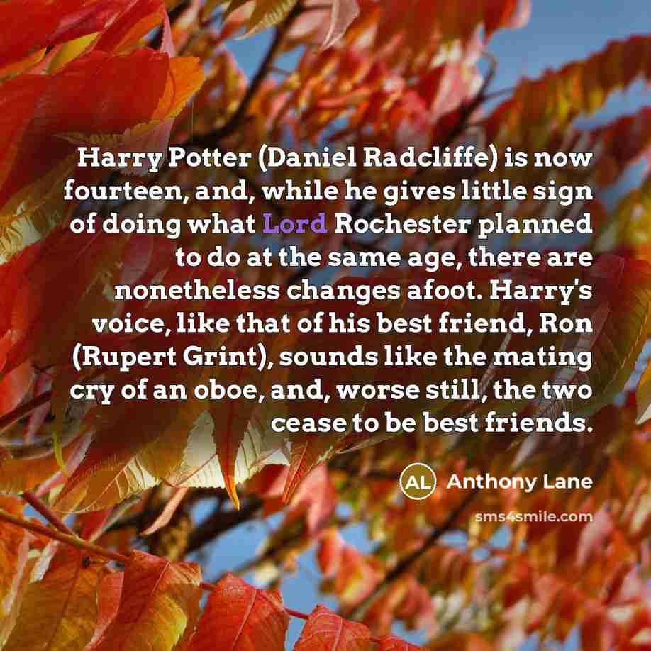 “Harry Potter (Daniel Radcliffe) is now fourteen, and, while he…” quote by Anthony Lane