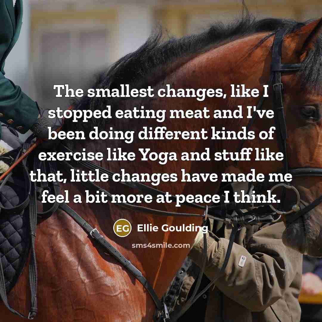 “The smallest changes, like I stopped eating meat and I've…” quote by Ellie Goulding
