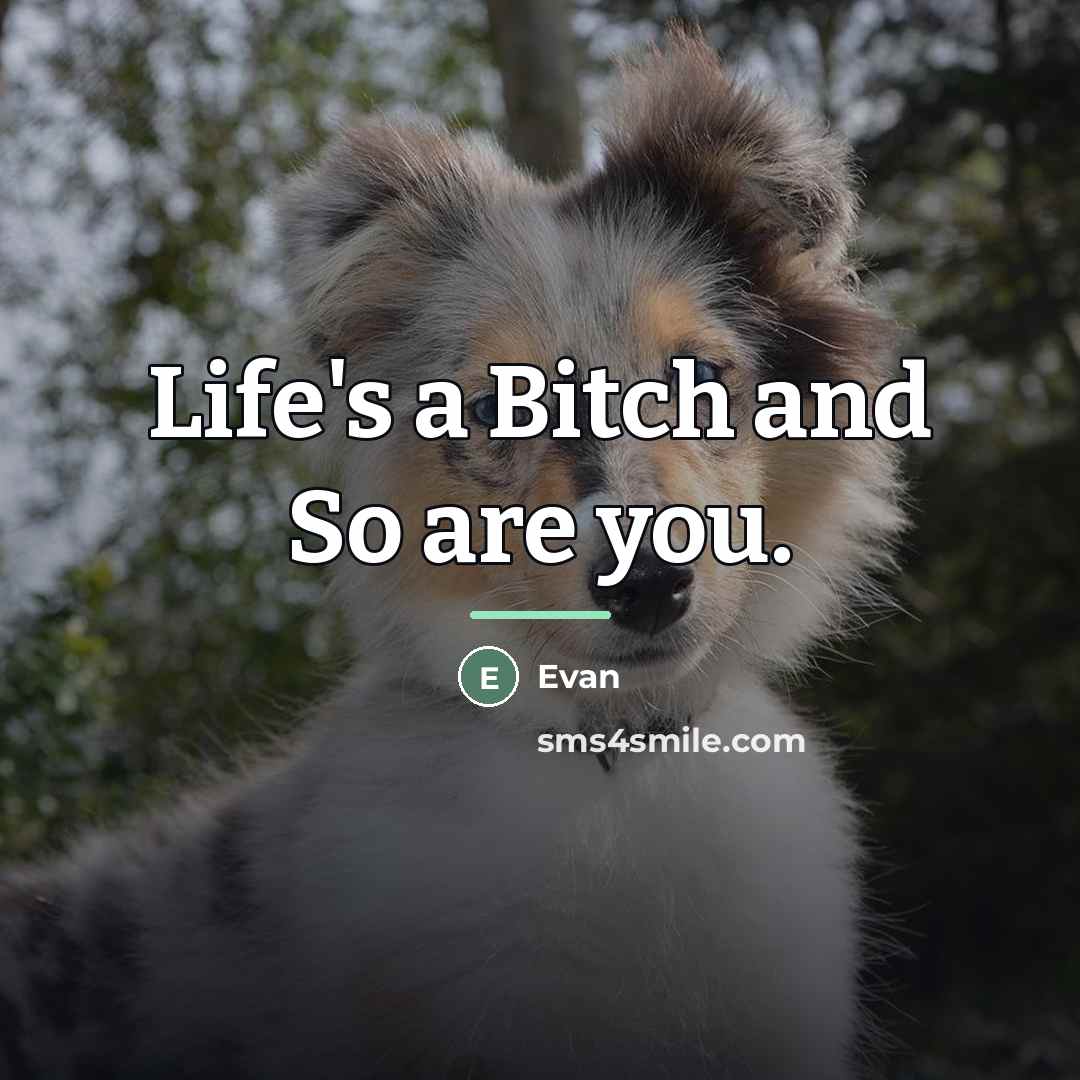 “Life's a Bitch and So are you.…” quote by Evan