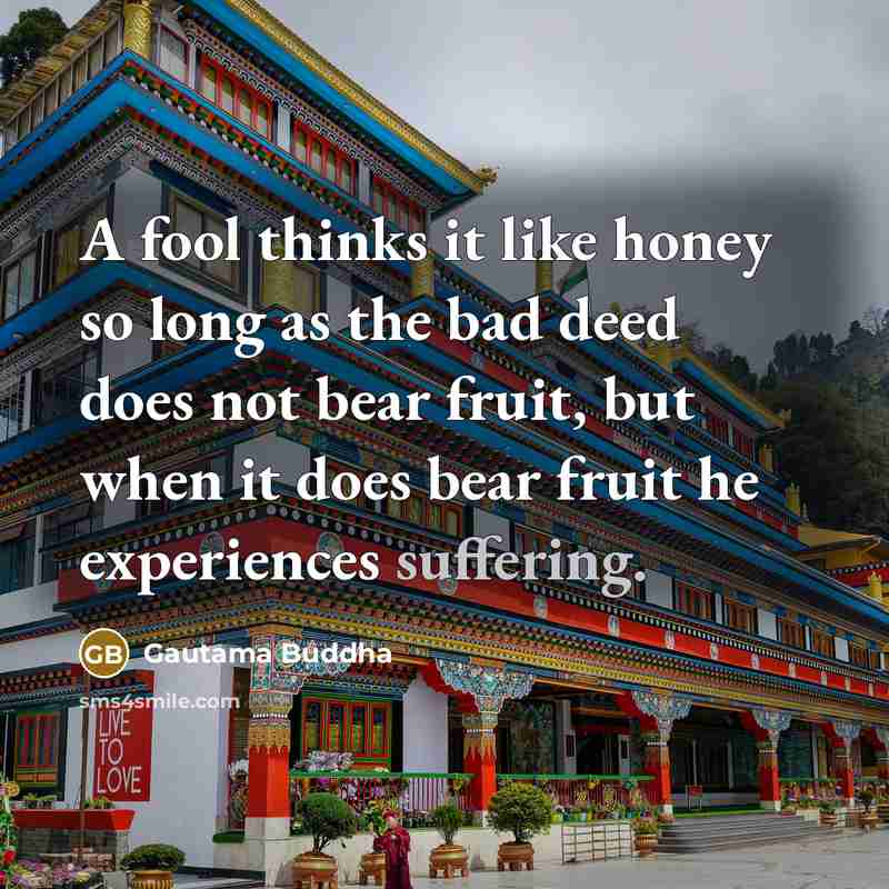 “A fool thinks it like honey so long as the…” quote by Gautama Buddha