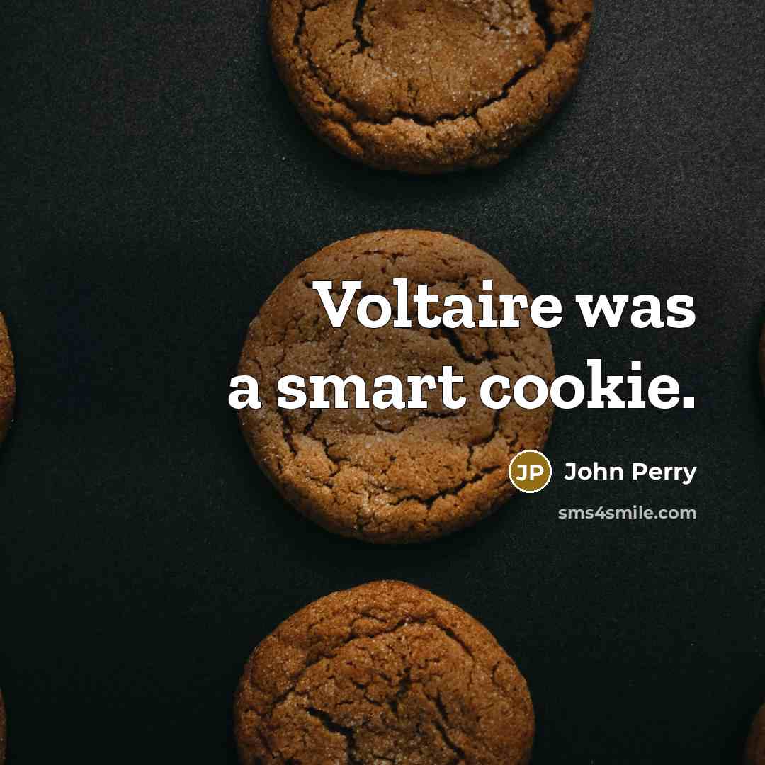 “Voltaire was a smart cookie.…” quote by John Perry