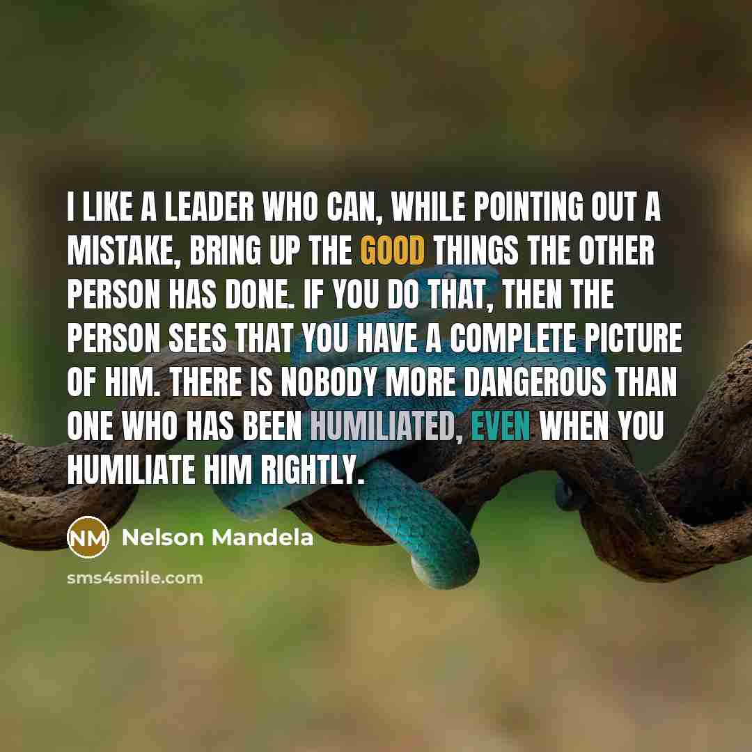 “I like a leader who can, while pointing out a…” quote by Nelson Mandela