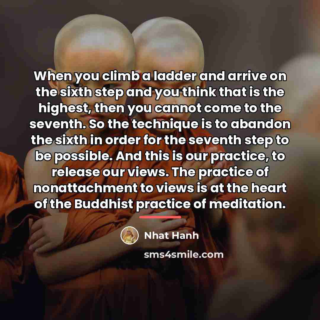 “When you climb a ladder and arrive on the sixth…” quote by Nhat Hanh