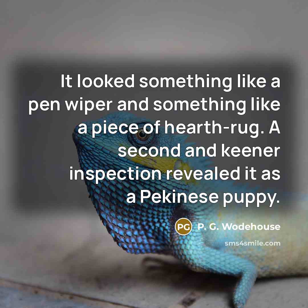 “It looked something like a pen wiper and something like a piece of hearth-rug. A second and keener inspection revealed it as a Pekinese puppy.” quote by P. G. Wodehouse
