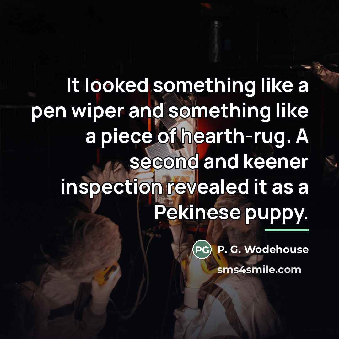 “It looked something like a pen wiper and something like…” quote by P. G. Wodehouse