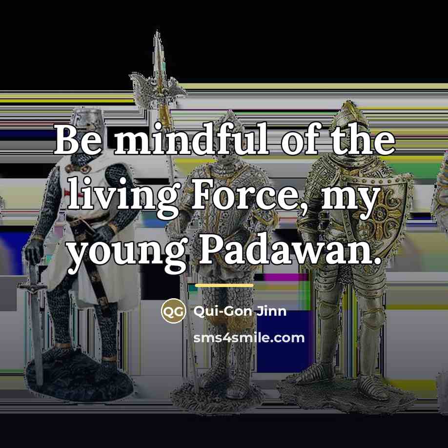“Be mindful of the living Force, my young Padawan.…” quote by Qui-Gon Jinn