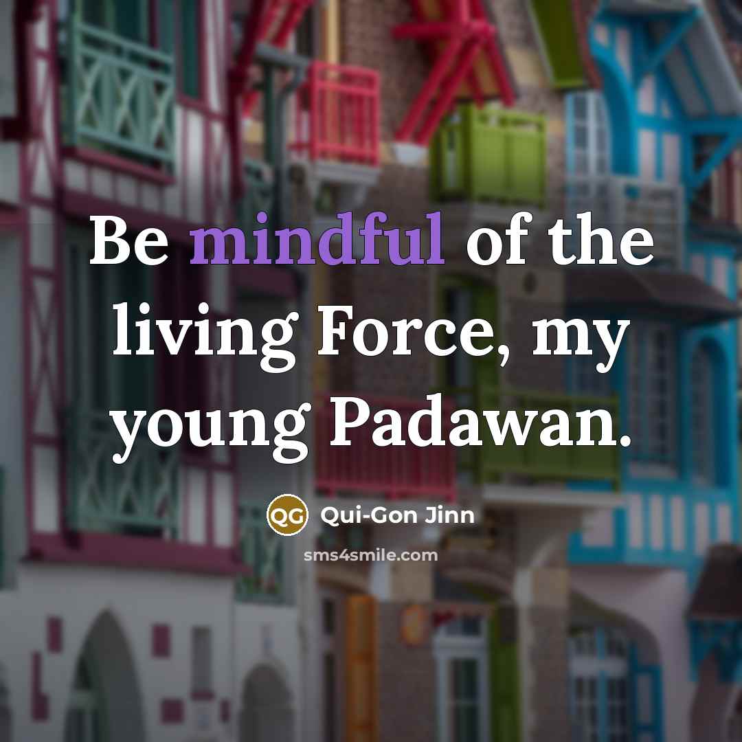 “Be mindful of the living Force, my young Padawan.” quote by Qui-Gon Jinn