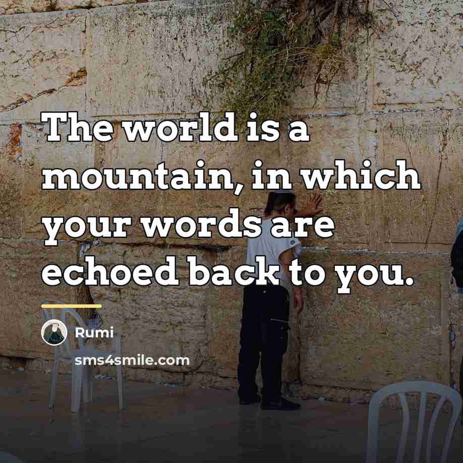 “The world is a mountain, in which your words are…” quote by Rumi