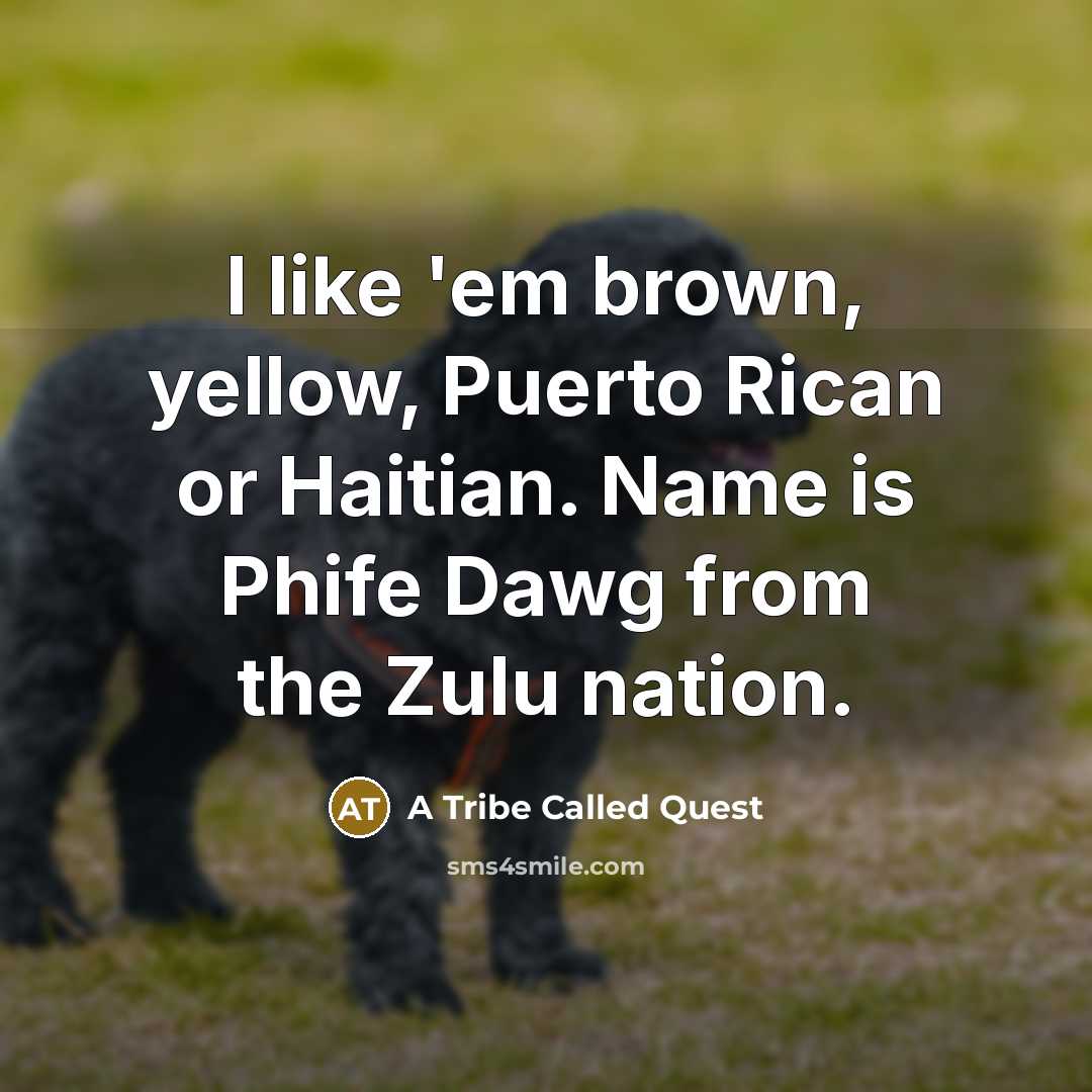 “I like 'em brown, yellow, Puerto Rican or Haitian. Name…” quote by A Tribe Called Quest