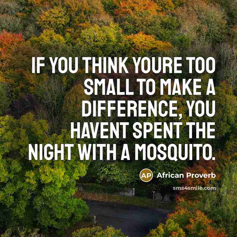 “If you think youre too small to make a difference,…” quote by African Proverb