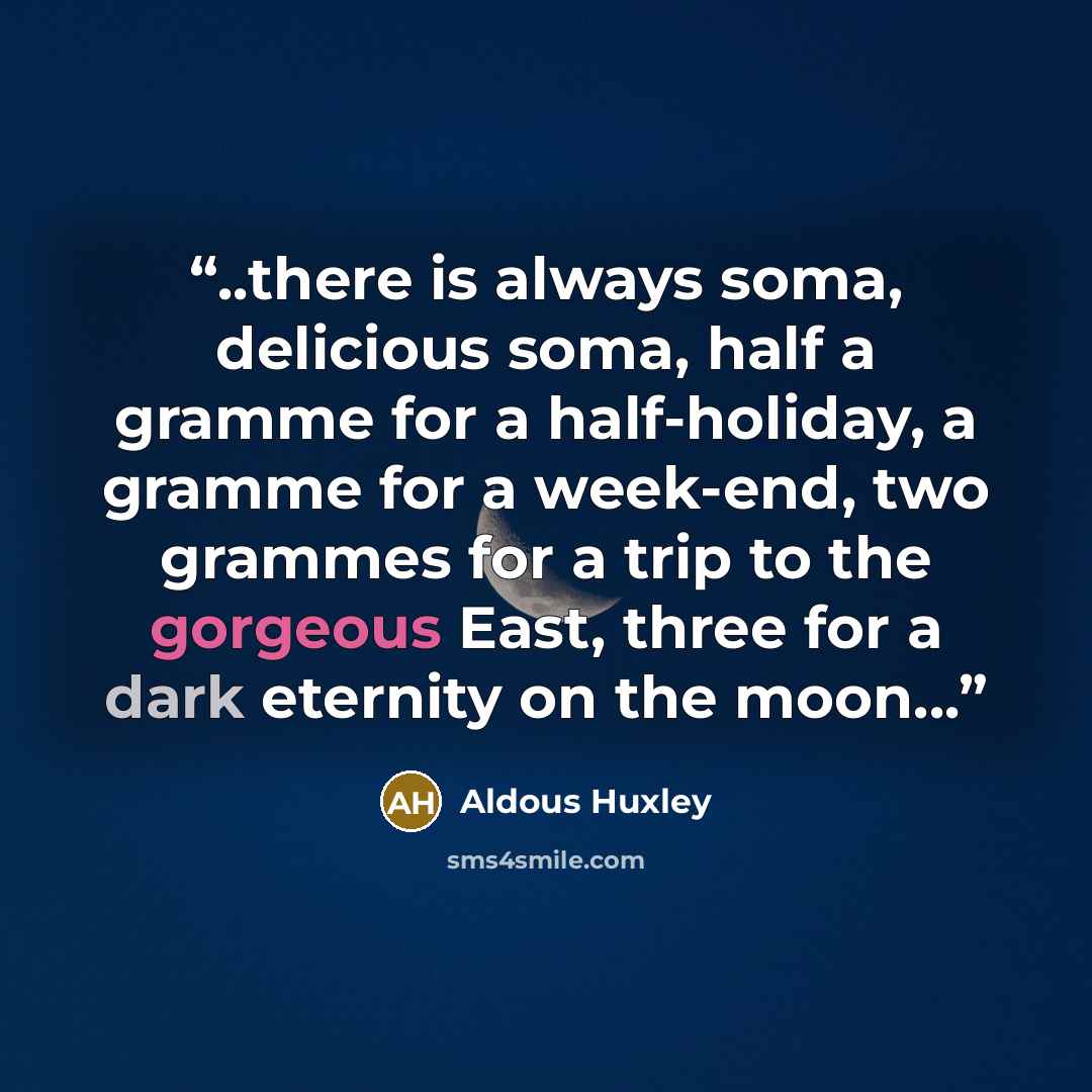 “..there is always soma, delicious soma, half a gramme for a half-holiday, a gramme for a week-end, two grammes for a trip to the gorgeous East, three for a dark eternity on the moon...” quote by Aldous Huxley