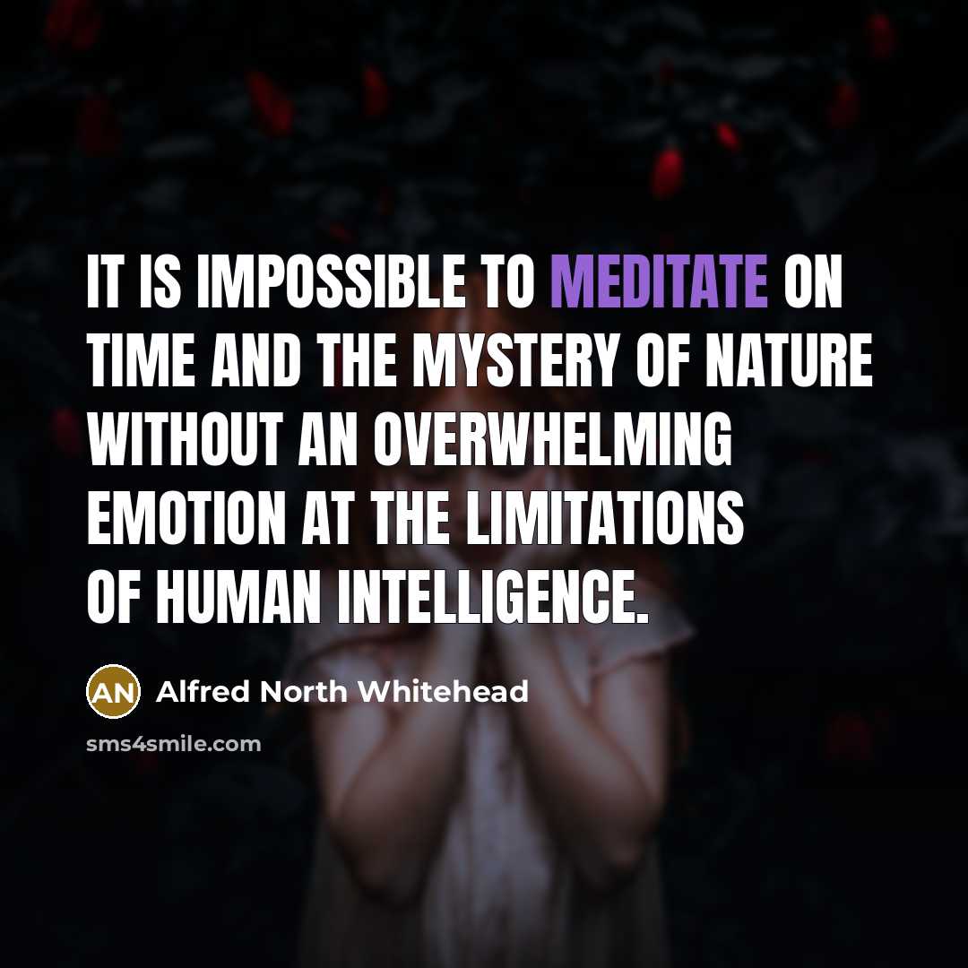 “It is impossible to meditate on time and the mystery…” quote by Alfred North Whitehead