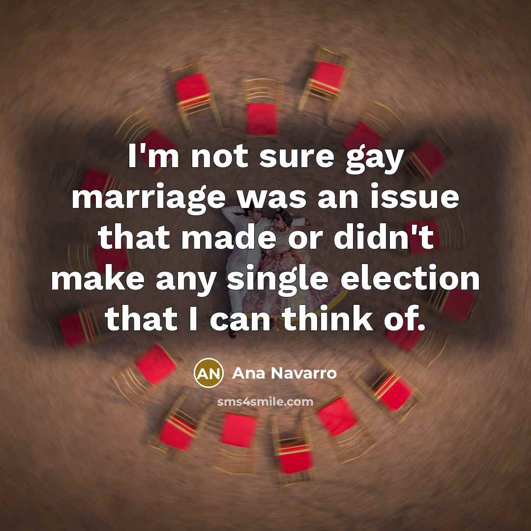 “I'm not sure gay marriage was an issue that made…” quote by Ana Navarro