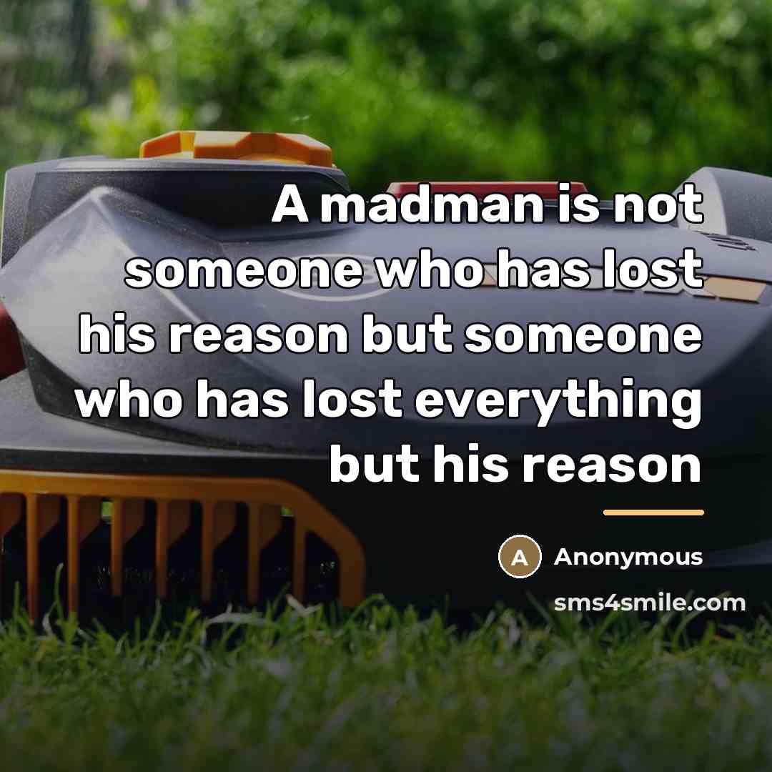 “A madman is not someone who has lost his reason…” quote by Anonymous