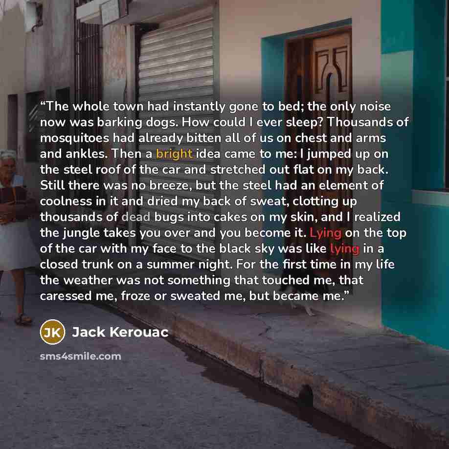 “The whole town had instantly gone to bed; the only noise now was barking dogs. How could I ever sleep? Thousands of mosquitoes had already bitten all of us on chest and arms and ankles. Then a bright idea came to me: I jumped up on the steel roof of the car and stretched out flat on my back. Still…” quote by Jack Kerouac