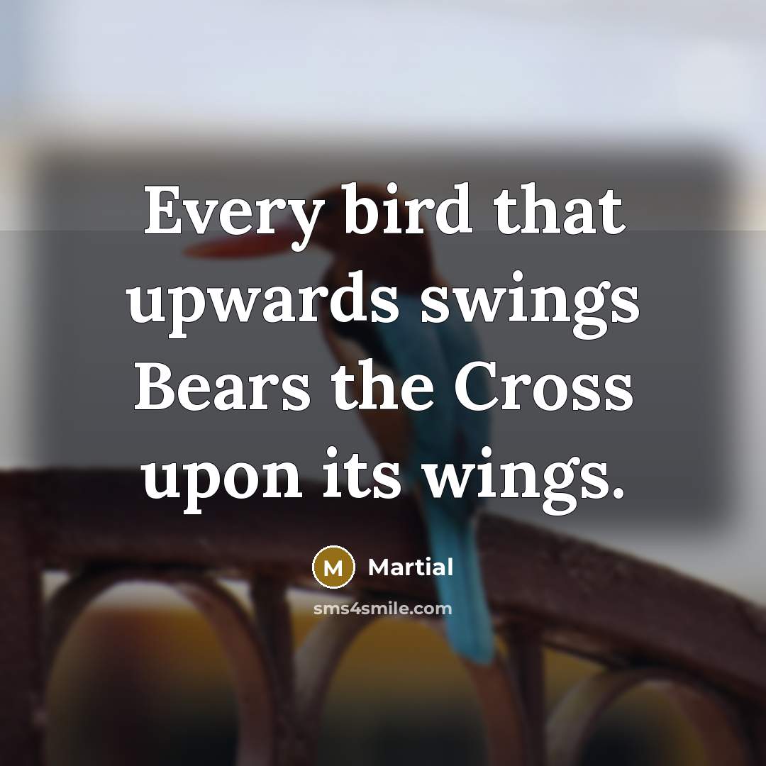 “Every bird that upwards swings Bears the Cross upon its…” quote by Martial
