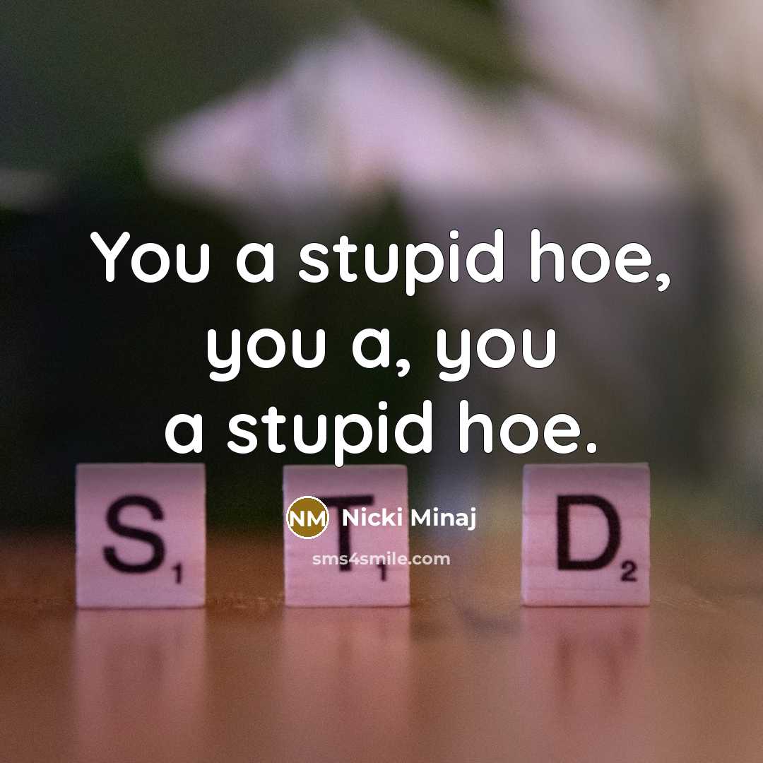 “You a stupid hoe, you a, you a stupid hoe.…” quote by Nicki Minaj
